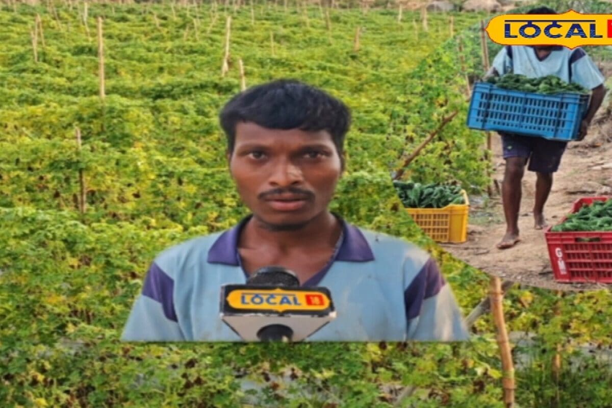 1 लाख के 4 लाख! कम समय में कमाएं करेले की खेती से जबरदस्त प्रॉफिट, युवा किसान अजय ने दी टिप्स