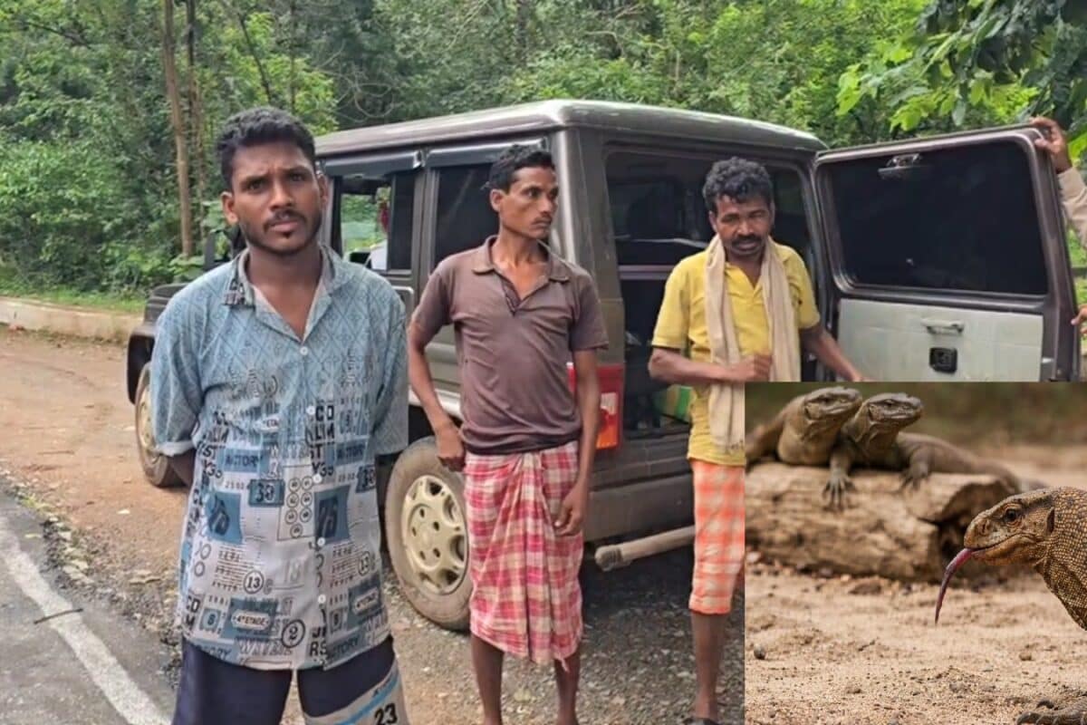 गोह का शिकार किया, पकाकर खा गए, फिर बनाई रील, Video से पकड़े गए आरोपी