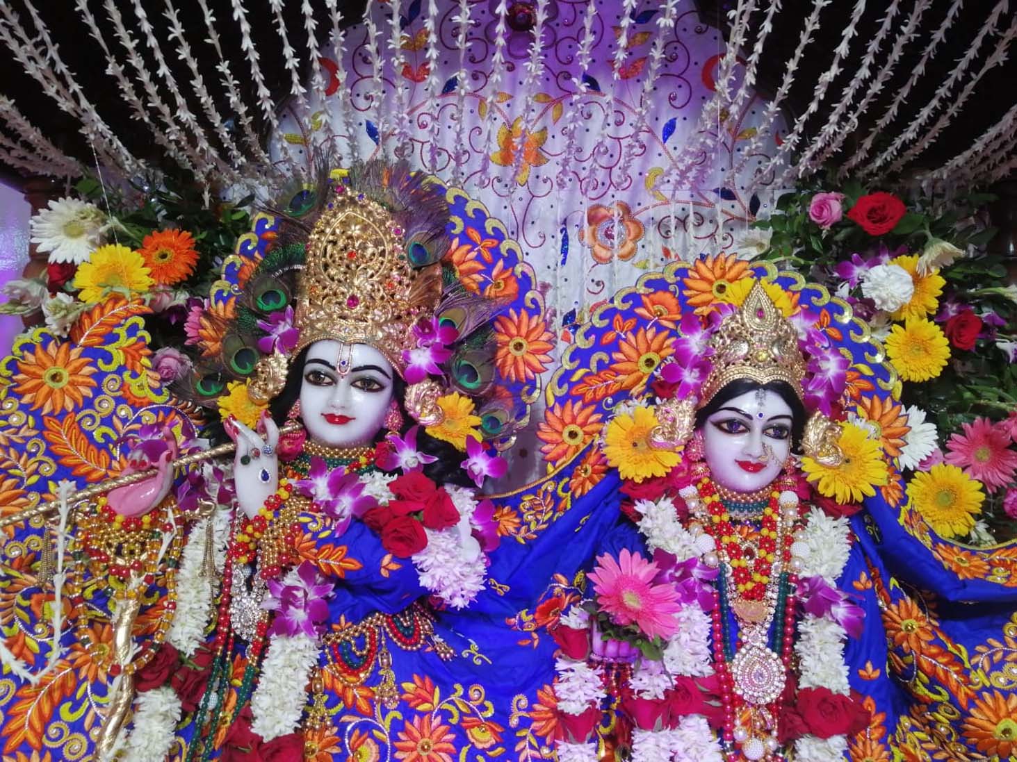 छत्तीसगढ़ में कृष्ण जन्माष्टमी की धूम: जैतुसाव मठ में ठाकुरजी का स्वर्ण श्रृंगार, इस्कॉन मंदिर के पास लगा 1 किमी लंबा जाम