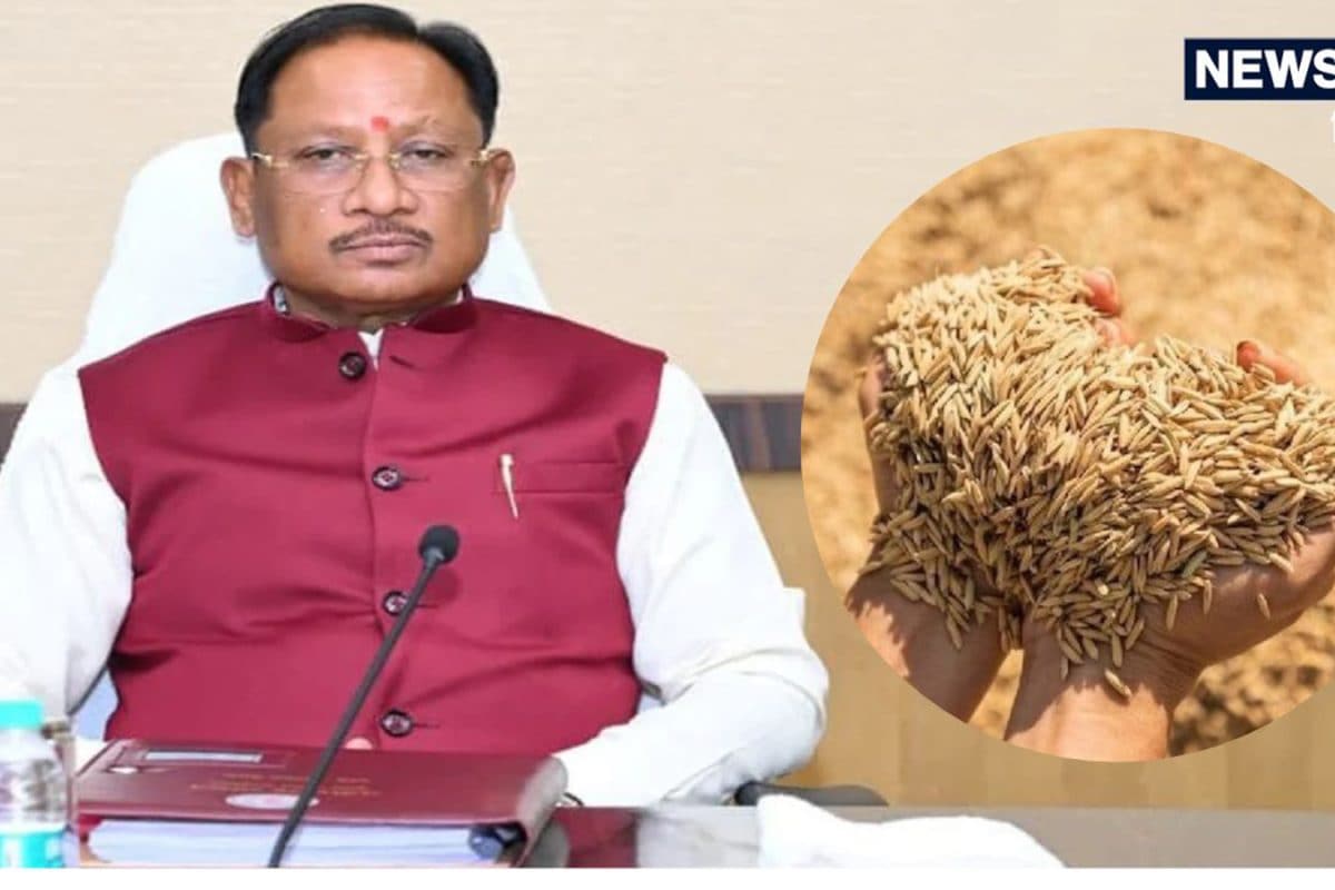छत्तीसगढ़ में 15 नवंबर से धान खरीदी, ₹3100 प्रति क्विंटल की दर तय, सीएम साय ने कर दी बड़ी घोषणा
